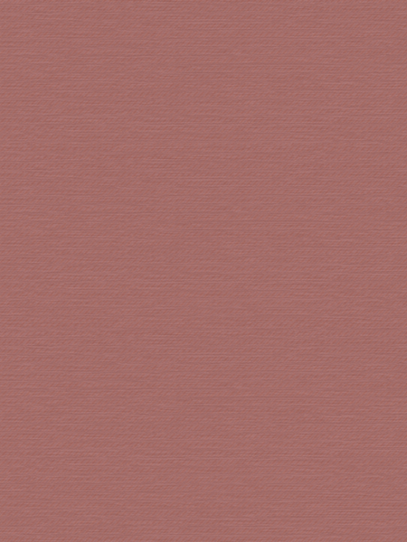 Giấy dán tường Regina 88288-5