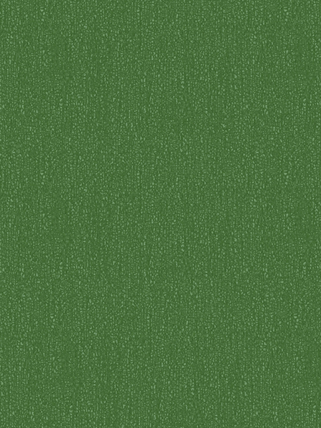 Giấy dán tường SNOW 6003-6 Giấy dán tường SNOW 6003-6