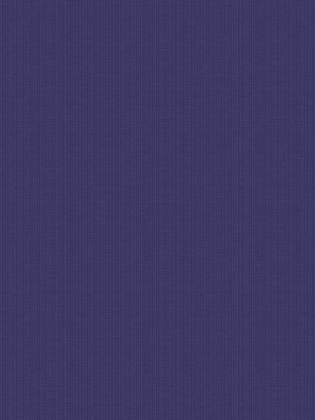 Giấy dán tường SNOW 6007-3