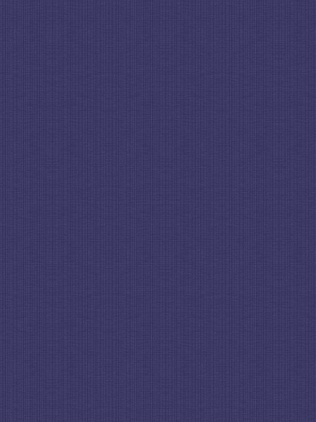 Giấy dán tường SNOW 6007-3