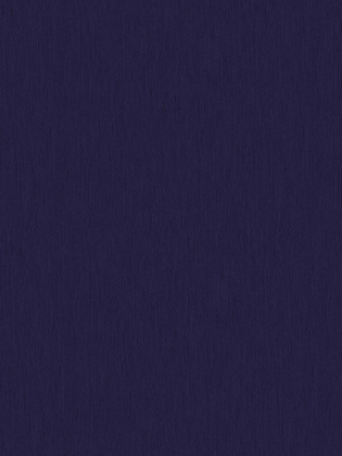 Giấy dán tường SNOW 6009-4