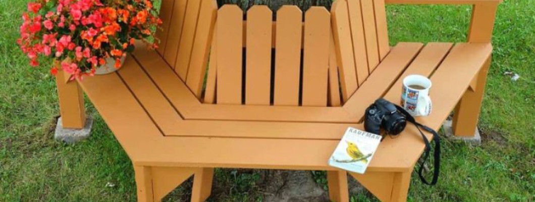 Thiết kế ghế cây đơn giản cho không gian sân vườn sang trọng tiện nghi Thiết kế ghế cây đơn giản cho không gian sân vườn sang trọng tiện nghi