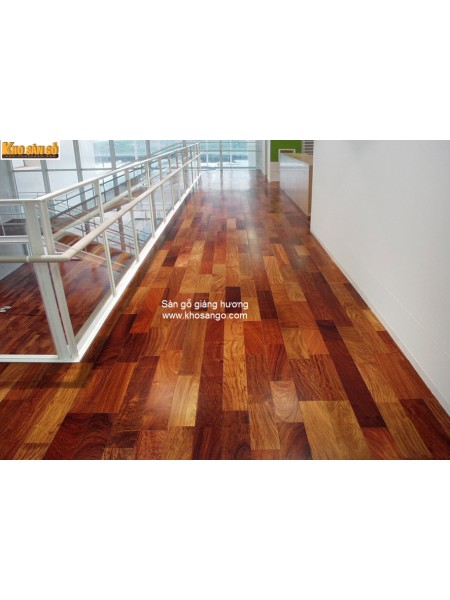 Sàn gỗ Hương 900mm Sàn gỗ Hương 900mm