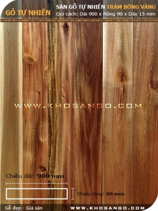 Sàn gỗ tràm bông vàng 900mm