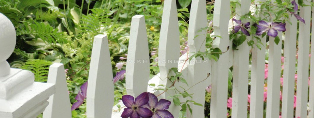 Làm đẹp không gian ngoài trời với hàng rào gỗ Làm đẹp không gian ngoài trời với hàng rào gỗ