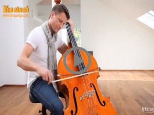 Video - Sàn gỗ cao cấp Châu Âu giá rẻ