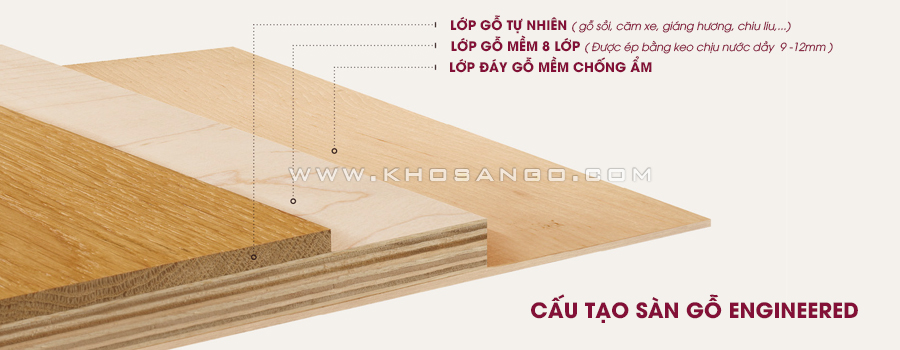 Cấu tạo Sàn gỗ kỹ thuật Engineered Cấu tạo Sàn gỗ kỹ thuật Engineered