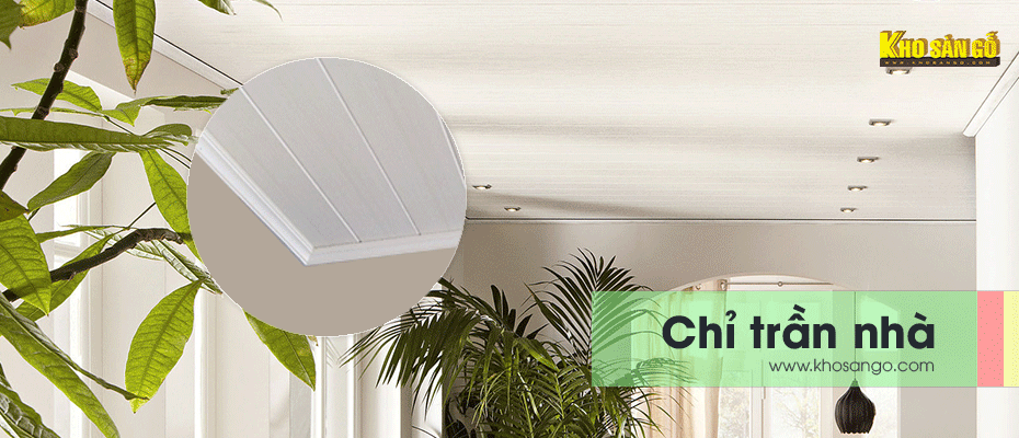 chỉ trần nhà Chỉ trần nhà