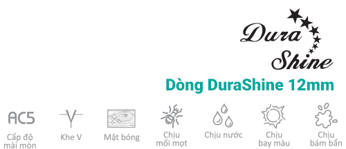 Dòng DuraShine 12mm inovar
