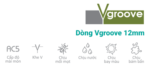 Dòng Vgroove 12mm inovar